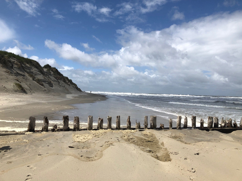 Qi-Gong am Meer*