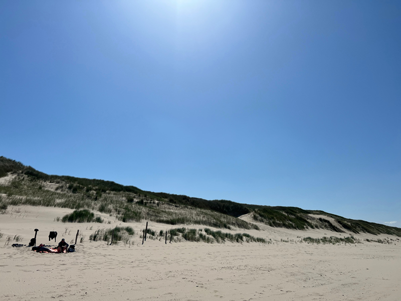 Achtsamkeits-Yoga und Natur-Meditation*